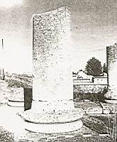 Bases et colonnes tournees du peristyle trapezoidal hellenistique.jpg